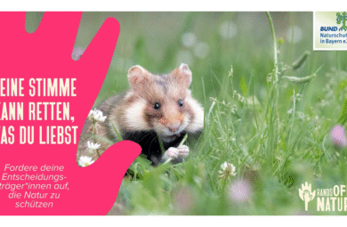 hands off nature I BUND Naturschutz